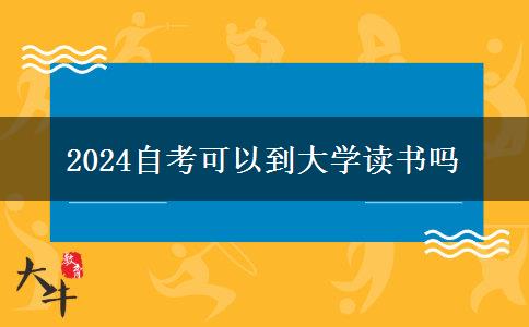 2024自考可以到大学读书吗