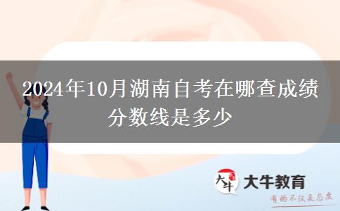 2024年10月湖南自考在哪查成绩 分数线是多少