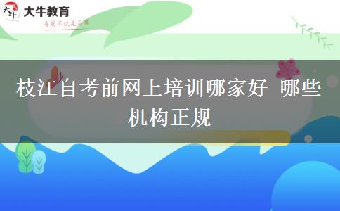 枝江自考前网上培训哪家好 哪些机构正规