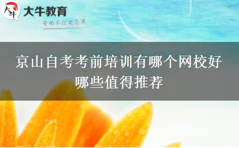 京山自考考前培训有哪个网校好 哪些值得推荐