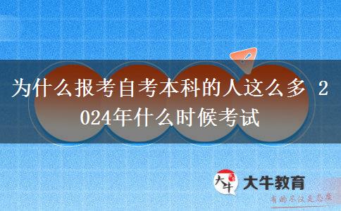 为什么报考自考本科的人这么多 2024年什么时候考试