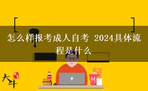 怎么样报考成人自考 2024具体流程是什么