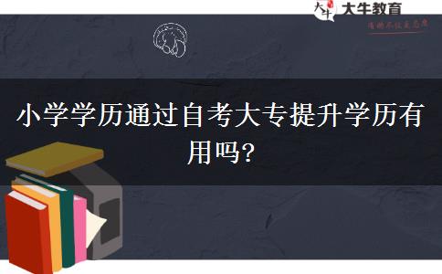 小学学历通过自考大专提升学历有用吗?