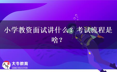 小学教资面试讲什么？考试流程是啥？