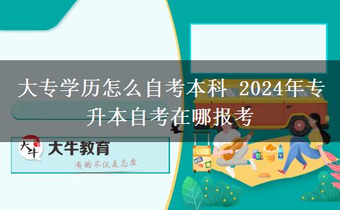 大专学历怎么自考本科 2024年专升本自考在哪报考