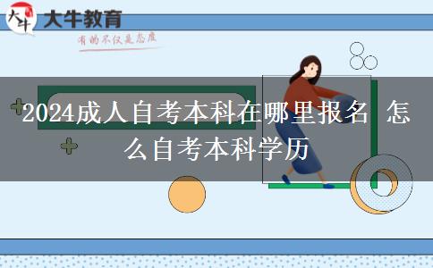 2024成人自考本科在哪里报名 怎么自考本科学历