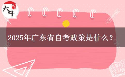 2025年广东省自考政策是什么？