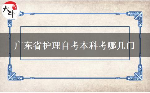 广东省护理自考本科考哪几门