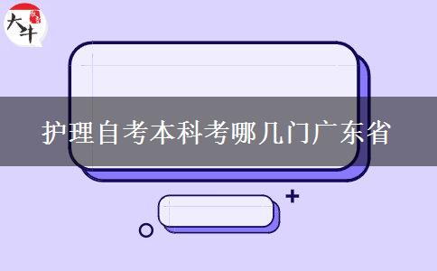 护理自考本科考哪几门广东省