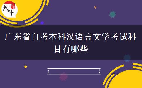 广东省自考本科汉语言文学考试科目有哪些