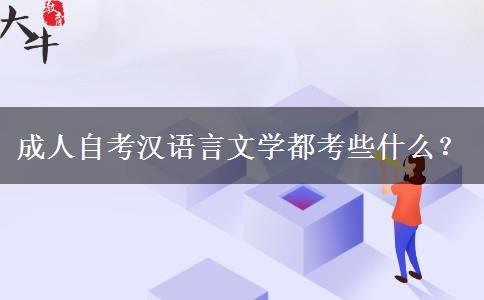 成人自考汉语言文学都考些什么？