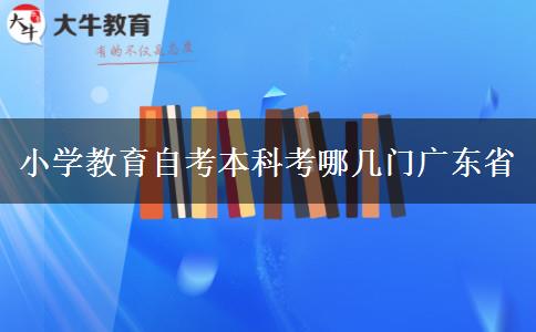 小学教育自考本科考哪几门广东省