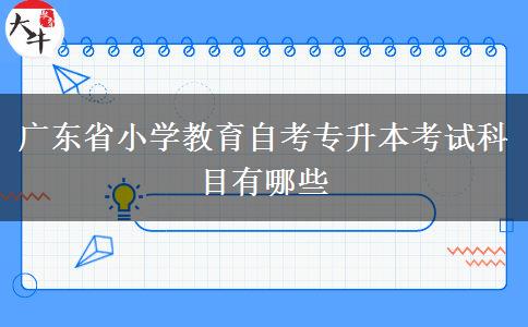 广东省小学教育自考专升本考试科目有哪些