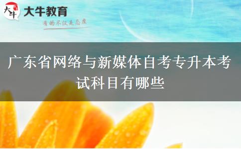 广东省网络与新媒体自考专升本考试科目有哪些