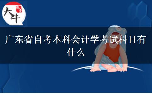 广东省自考本科会计学考试科目有什么