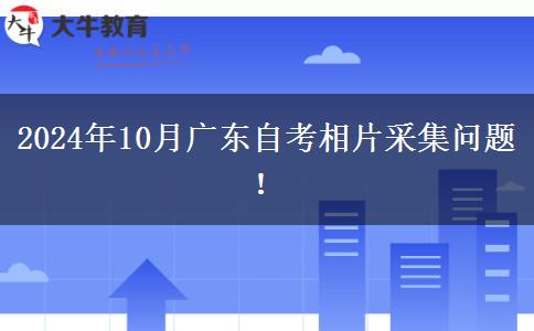 2024年10月广东自考相片采集问题！