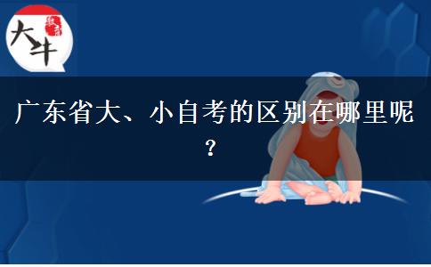 广东省大、小自考的区别在哪里呢？