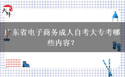 广东省电子商务成人自考大专考哪些内容？