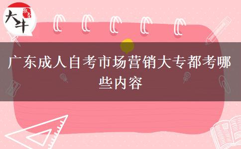 广东成人自考市场营销大专都考哪些内容