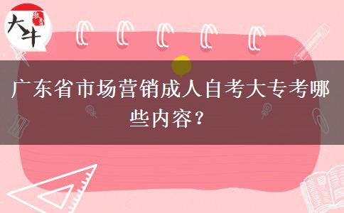 广东省市场营销成人自考大专考哪些内容？