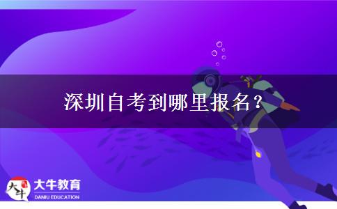 深圳自考到哪里报名？