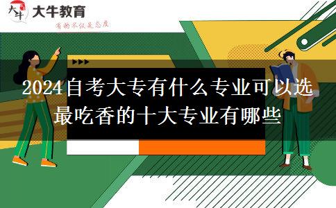 2024自考大专有什么专业可以选 最吃香的十大专业有哪些