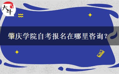 肇庆学院自考报名在哪里咨询？