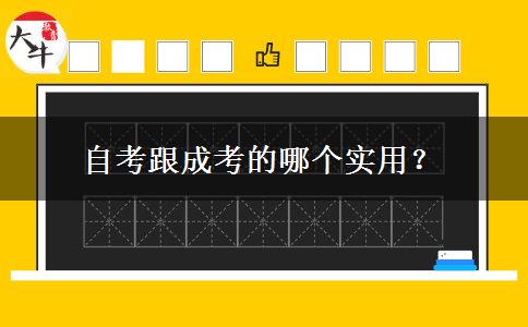 自考跟成考的哪个实用？