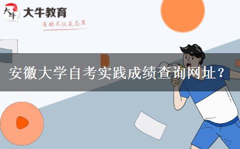 安徽大学自考实践成绩查询网址？