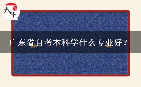 广东省自考本科学什么专业好？