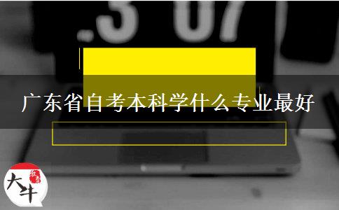 广东省自考本科学什么专业最好