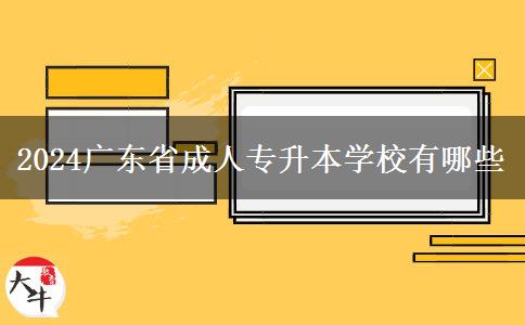 2024广东省成人专升本学校有哪些