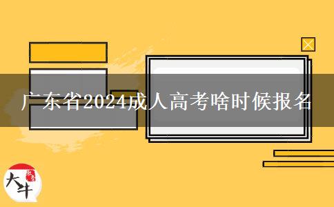 广东省2024成人高考啥时候报名