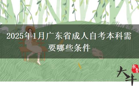 2025年1月广东省成人自考本科需要哪些条件