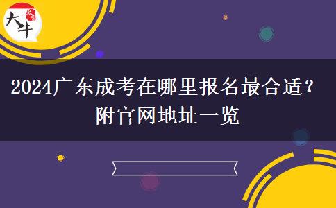 2024广东成考在哪里报名最合适？附官网地址一览