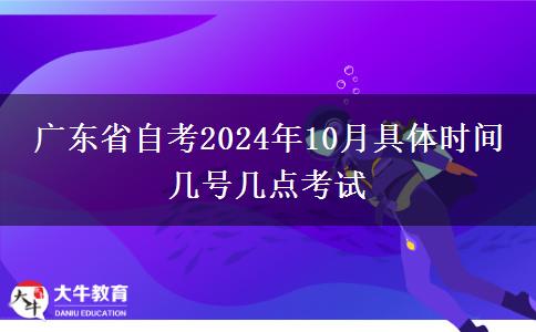 广东省自考2024年10月具体时间 几号几点考试