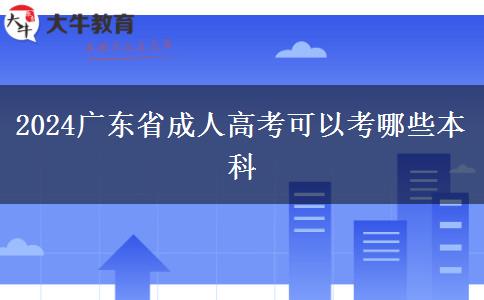 2024广东省成人高考可以考哪些本科