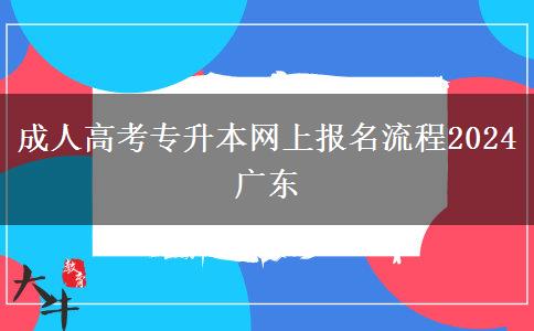 成人高考专升本网上报名流程2024广东