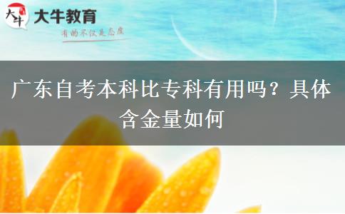 广东自考本科比专科有用吗？具体含金量如何