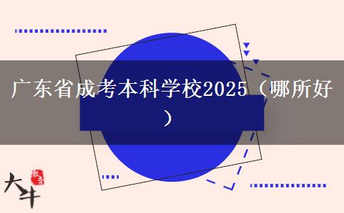 广东省成考本科学校2025（哪所好）