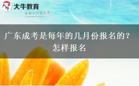 广东成考是每年的几月份报名的？怎样报名