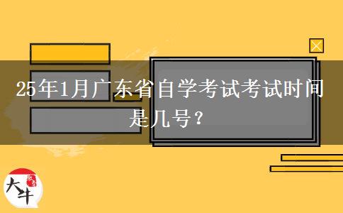 25年1月广东省自学考试考试时间是几号？