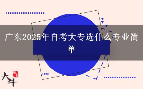 广东2025年自考大专选什么专业简单