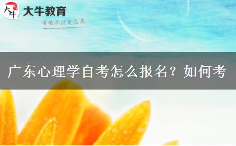 广东心理学自考怎么报名？如何考