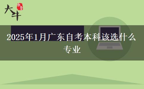 2025年1月广东自考本科该选什么专业