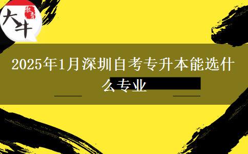 2025年1月深圳自考专升本能选什么专业