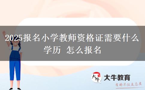 2025报名小学教师资格证需要什么学历 怎么报名