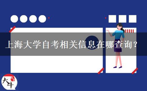 上海大学自考相关信息在哪查询？