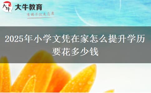 2025年小学文凭在家怎么提升学历 要花多少钱