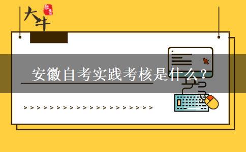 安徽自考实践考核是什么？